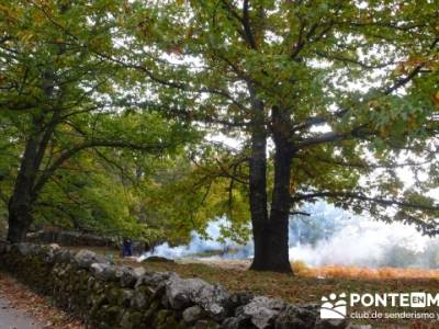 El Castañar de El Tiemblo, senderismo y montaña; rutas buitrago de lozoya